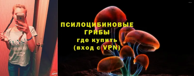 Галлюциногенные грибы прущие грибы  Анжеро-Судженск 